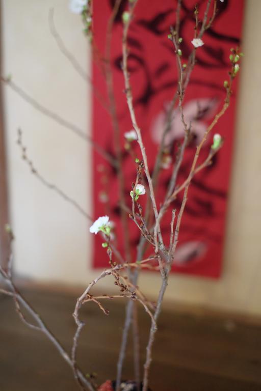 Kanazawa Tabi-Ne ภายนอก รูปภาพ